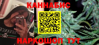 шишки Изобильный