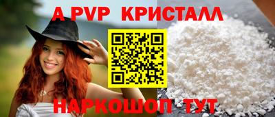 шишки Изобильный