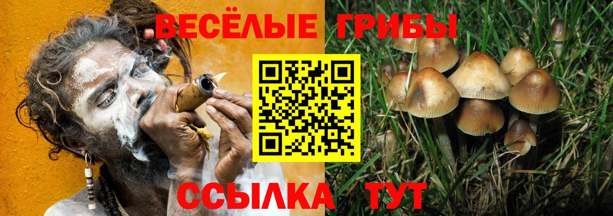 Галлюциногенные грибы Magic Shrooms  Вход с VPN  Удомля  Галлюциногенные грибы Magic Shrooms 