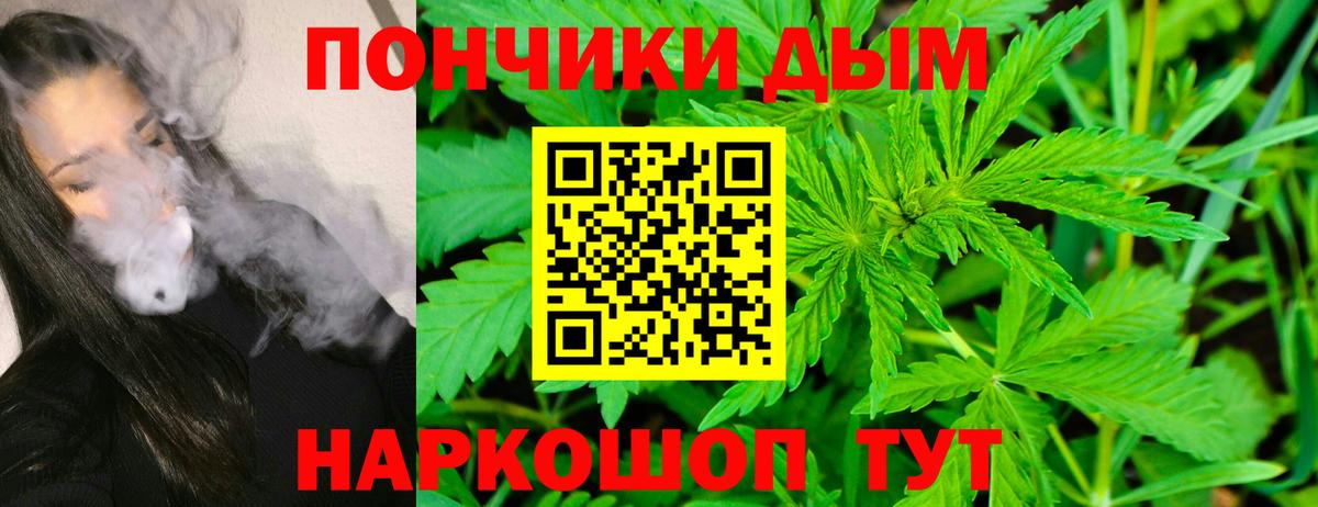 Каннабис SATIVA & INDICA Удомля